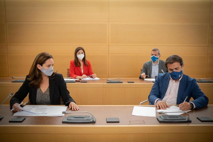 Archivo - Grupo del Partido Popular en el Cabildo de Tenerife