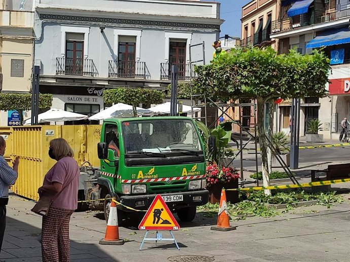 Podas en la plaza de Cervantes