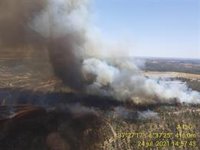 Movilizadas 12 aeronaves y cien efectivos por un incendio forestal en Villarrasa (Huelva)