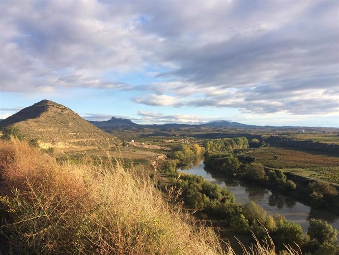 Solicitamos la inclusión del meandro del Ebro en el Cortijo en la Red Natura 2000