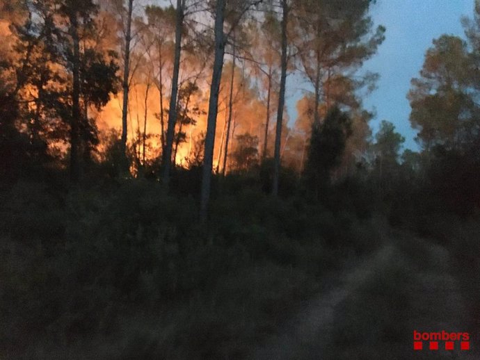 Imatge de l'incendi forestal a Ventalló (Girona)