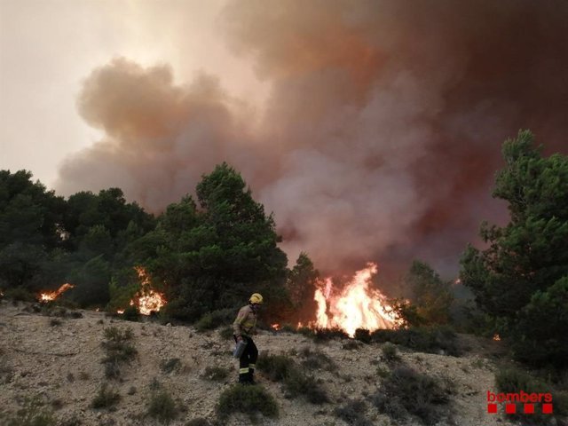 Imagen del fuego de Santa Coloma de Queralt (Tarragona), que ha quemado unas 1.200 hectáreas