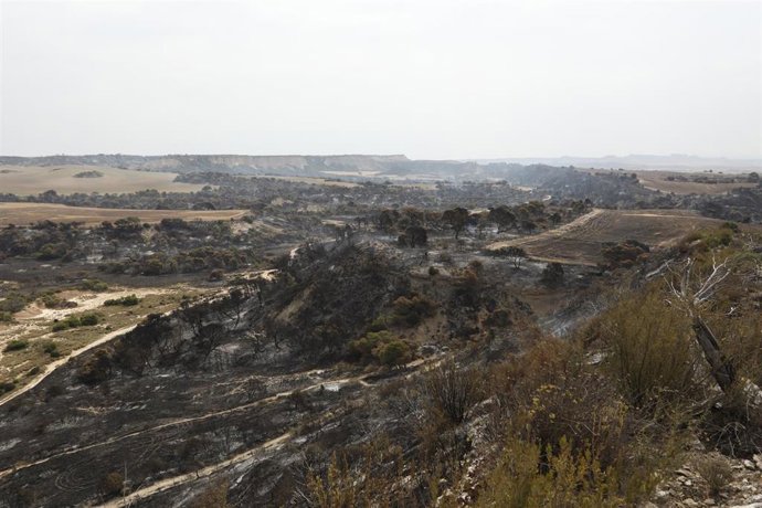 Incendios.- Bomberos prevén extinguir en próximas horas el fuego del Vedado (Navarra) si las condiciones lo permiten