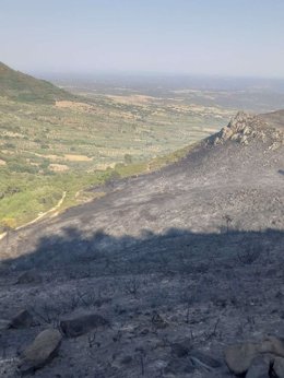 Incendio forestal esta semana en Extremadura