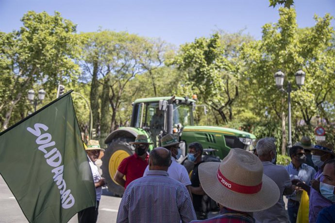 Archivo - Llegada de una tractorada convocada por COAG para exigir un reparto justo del agua en el Bajo Guadalquivir, a 18 de mayo de 2021, en Sevilla (Andalucía, España).