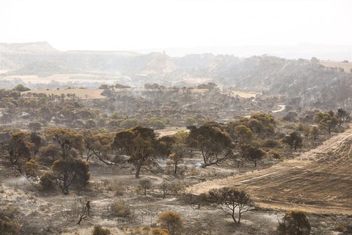 La zona del Vedado de Eguaras afectada por el incendio.