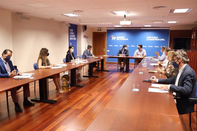 Reunión del Comité de dirección PPRM