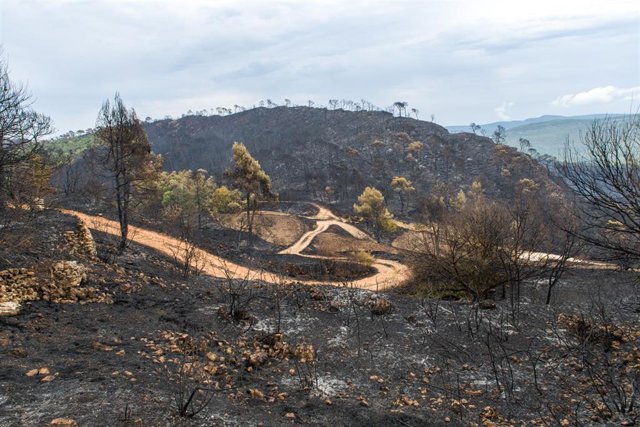 Estado de las inmediaciones de Santa Coloma de Queralt desde el Castillo de Queralt tras el incendio iniciado el día 24, a 26 de julio de 2021, en Santa Coloma de Queralt, Tarragona, Cataluña, (España).