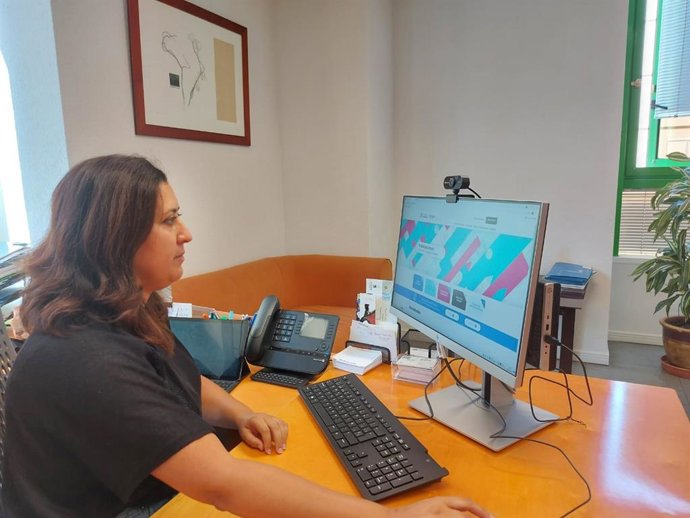 Archivo - La consejera de Empleo del Cabildo de Tenerife, Carmen Luz Baso