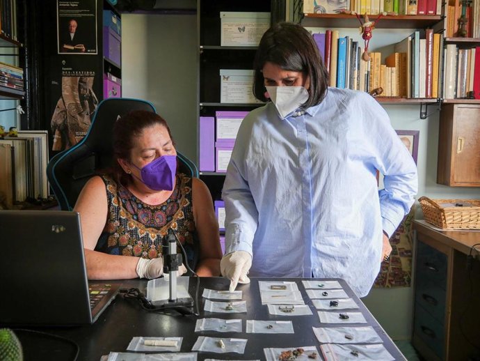 Archivo - La doctora en Arqueología Ana Rosa Pérez Álvarez