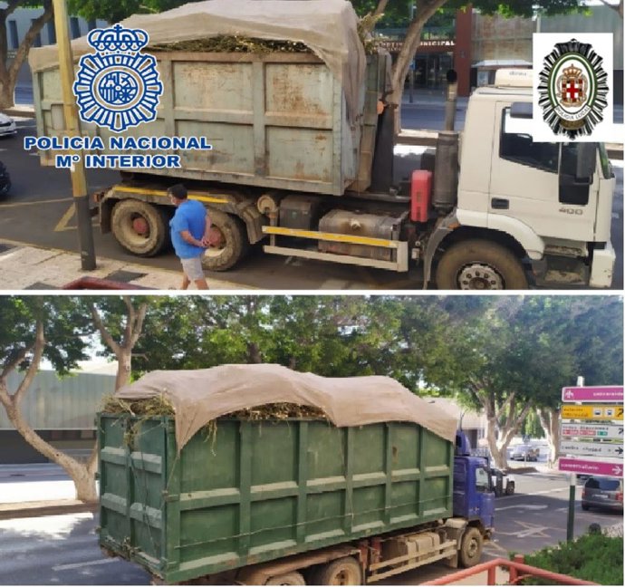 Marihuana cargada en camiones