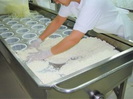 Elaboración queso