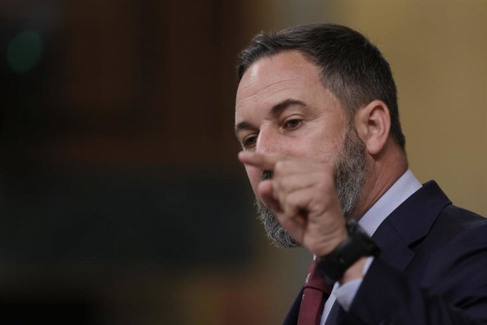 El líder de Vox, Santiago Abascal, interviene en una sesión de control al Gobierno en el Congreso de los Diputados,  foto de archivo