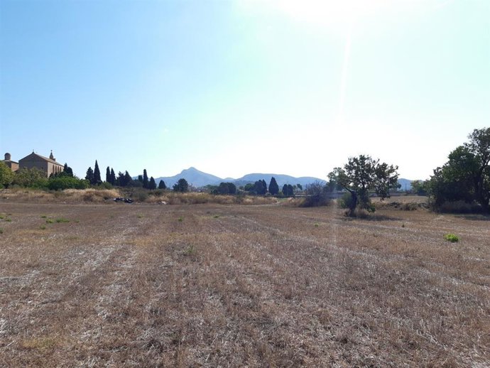 Terrenos de Sa Tanca, en Can Domnech, anexos a Pollentia