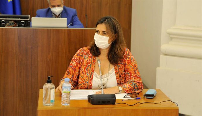 La directora general de Financiación Autonómica y Fondos Europeos, Lourdes Hernández, comparece en la Asamblea