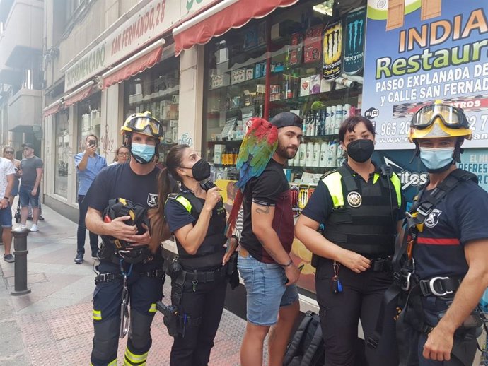 Bomberos rescatan en Alicante a un loro guacamayo encaramado en una cornisa tras escaparse de su dueño
