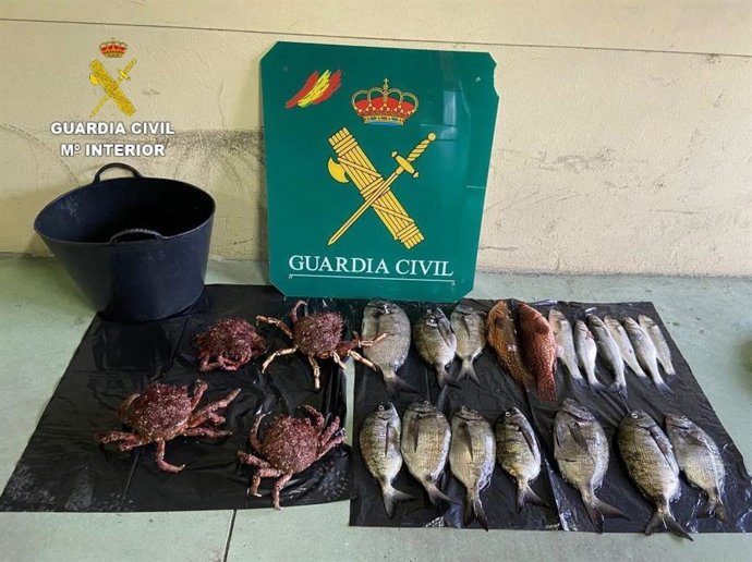 La Guardia Civil interviene 14 kilos de capturas ilegales de varias especies y cuatro centollas en Malpica (A Coruña).