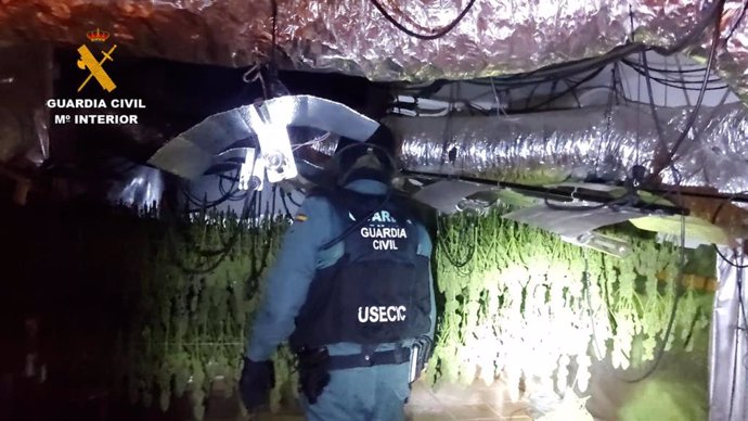 La Guardia Civil ha desarticulado un grupo familiar dedicado al cultivo y producción de marihuana en Torrejón del Rey.