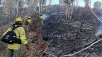 Extinguido el incendio de Villarrasa (Huelva), que afecta a 865 hectáreas, 630 de ellas forestales