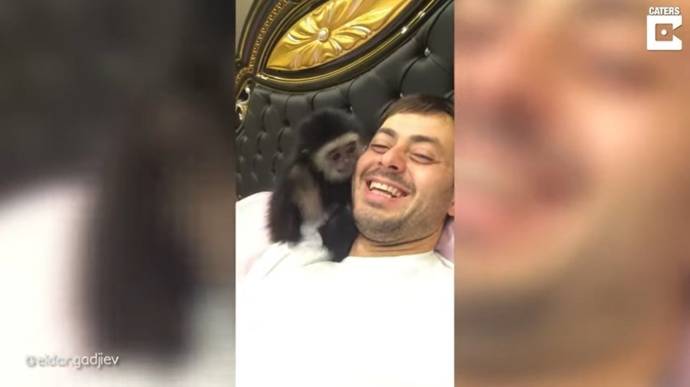 Este ruso vive con Eva y Eric dos gibones de siete años como mascotas