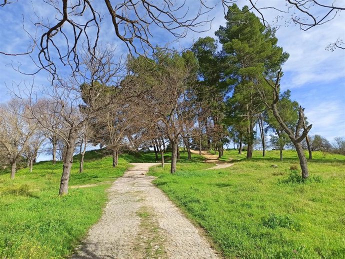 Cima del cerro de El Carambolo, en Camas