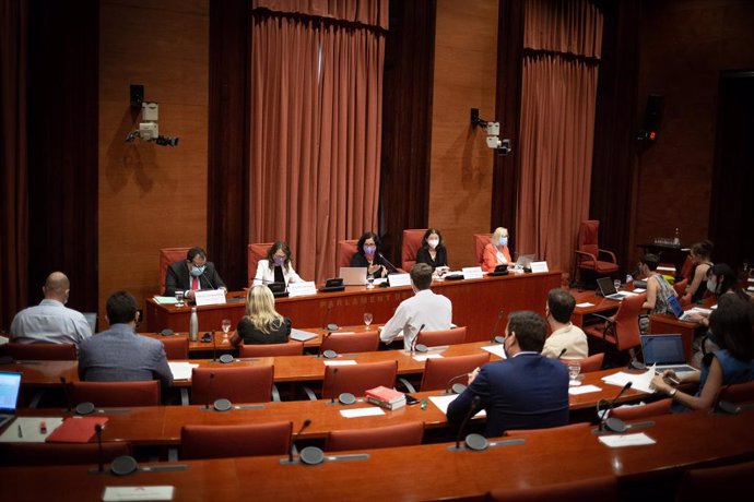 El conseller d'Interior, Joan Ignasi Elena, i la consellera d'Igualtat i Feminismes, Tnia Verge, al Parlament 