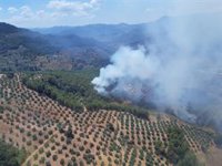 Últimos trabajos de remate y liquidación en el incendio forestal de Torres de Albanchez (Jaén)
