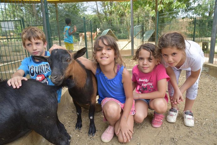 Este verano, niños que participan en los campamentos, las colonias urbanas y los centros abiertos promovidos por el programa CaixaProinfancia.