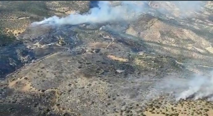 Imagen aérea del incendio forestal, vuelto a controlar, en Cabra.