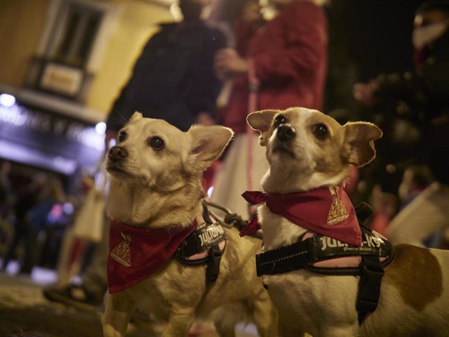 2 perros con pañuelos sanfemrineros junto a varias personas se concentran en la Plaza del Ayuntamiento de Pamplona, donde tradicionalmente se entona el 'Pobre de mí' para despedirse de los sanfermines, a pesar de no haberse celebrado, a 13 de julio de 2