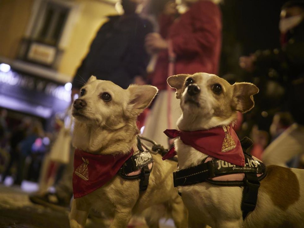 2 perros con pañuelos sanfemrineros junto a varias personas se concentran en la Plaza del Ayuntamiento de Pamplona, donde tradicionalmente se entona el 'Pobre de mí' para despedirse de los sanfermines, a pesar de no haberse celebrado, a 13 de julio de 2