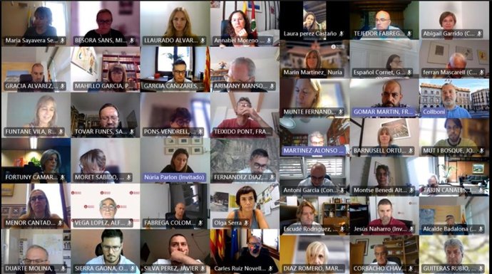 Participantes en el pleno de la Diputación de Barcelona de este jueves.