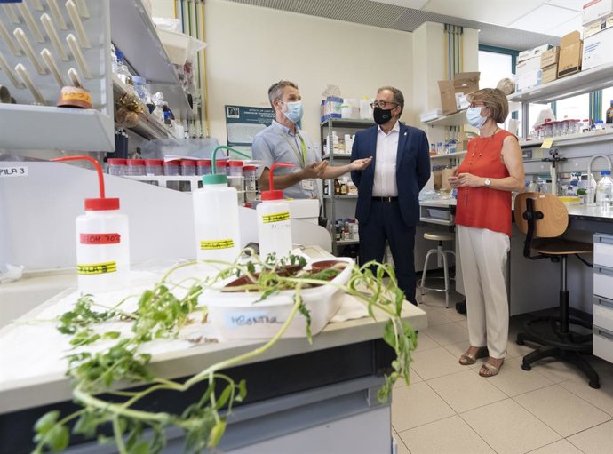 DIPUTACIÓN DE CASTELLÓN Y UJI IMPULSAN UN PROYECTO DE INVESTIGACIÓN INTERNACIONAL PARA COMBATIR PLAGAS Y ENFERMEDADES EN CULTIVOS