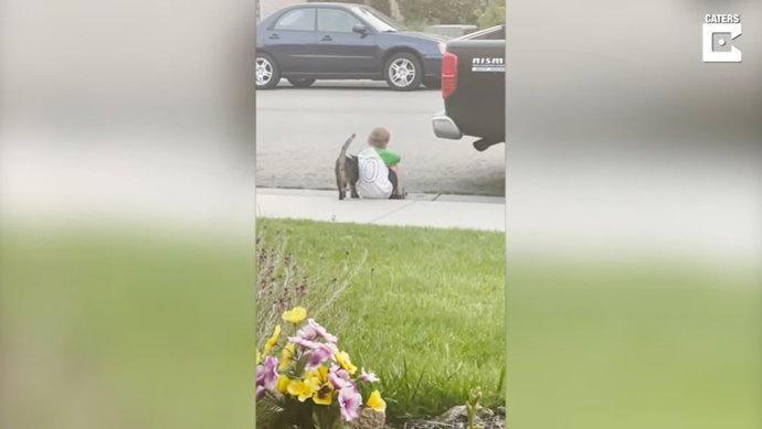 El gato de los vecinos se acerca a consolar y hacer compañía a un niño que estaba sentado solo en una acera