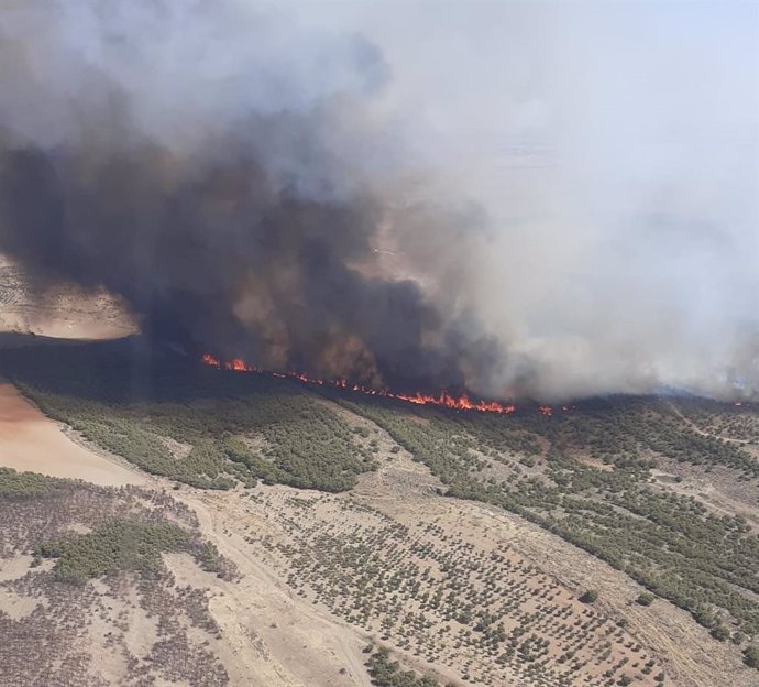 Imagen aérea del incendio forestal de Balalcázar.