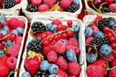 Foto: Potencial nueva terapia procedente de las frutas para el Parkinson