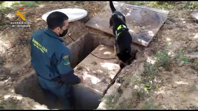 OPERACIÓN FIANCHETTO