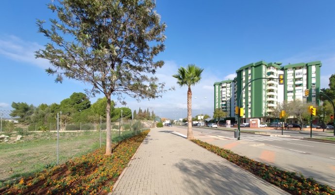 Parcela nuevo IES Soliva Málaga