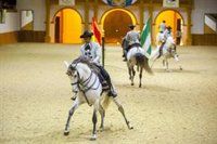 Las auditorías detectan pérdidas en Villas Turísticas y defienden regular personal de la Real Escuela de Arte Ecuestre