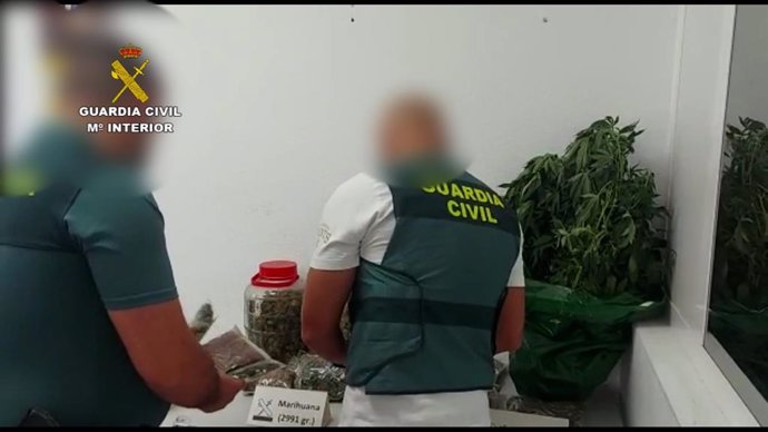 La Guardia Civil interviene la droga localizada en el cuarto de aperos