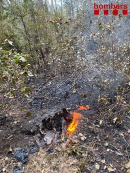 Los Bomberos apagan el fuego que ha reavivado en Sant Coloma de Querealt (Tarragona)