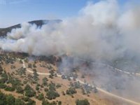Declarado un incendio en Alcalá de los Gazules (Cádiz)