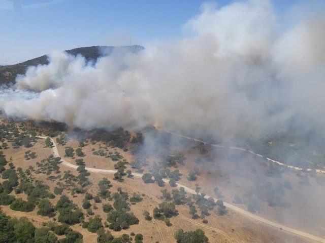 Incendio en Alcalá de los Gazules.