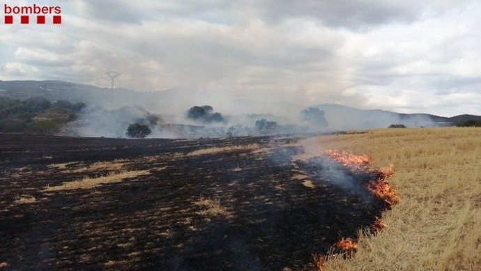 Los Bomberos trabajan en un incendio de rastrojos entre Cubells y Montgai (Lleida).