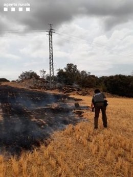 Investigan si un pájaro electrocutado originó el incendio de Cubells (Lleida)