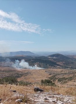 La columna de humo sobre el incendio forestal declarado en Cabra.