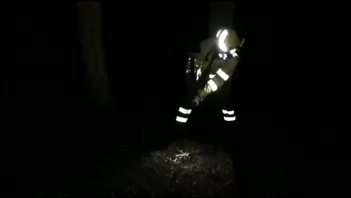Bombero trabaja de madrugada en el incendio de Alcalá de los Gazules.