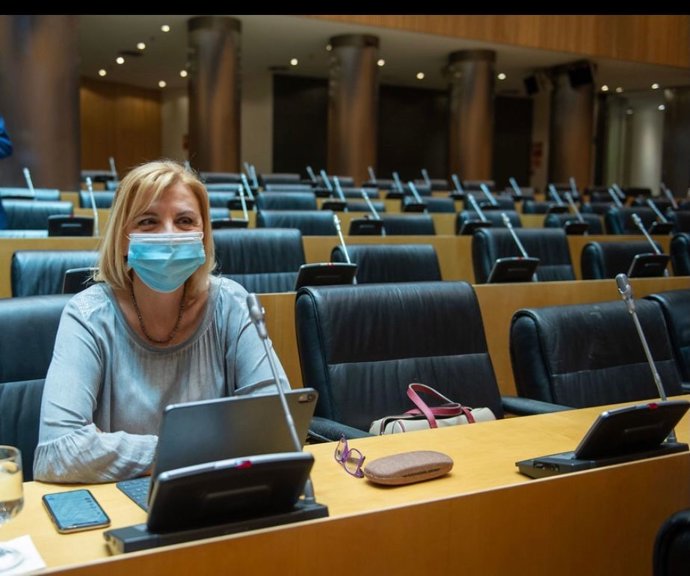 La portavoz del PP en la Comisión de Discapacidad en el Senado, Violante Tomás
