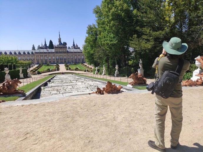 Viajes de agentes turísticos.