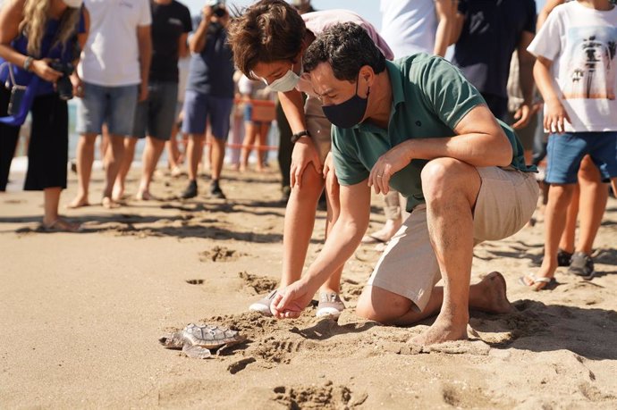 El presidente de la Junta de Andalucía, Juanma Moreno, participa en una suelta de tortugas boba